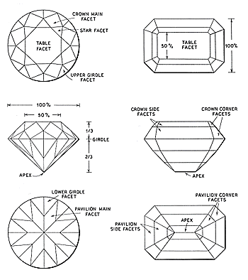 proporce_dle_druhu_brusu